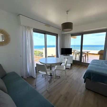 Spacieux 4 Pers Avec Terrasse Et Parking - Fr-1-837-1 Apartment Argeles-sur-Mer